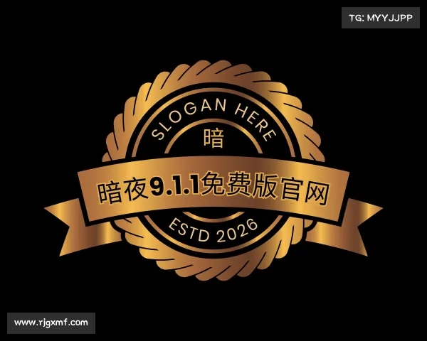 解读暗夜9.1.1免费版官网入口